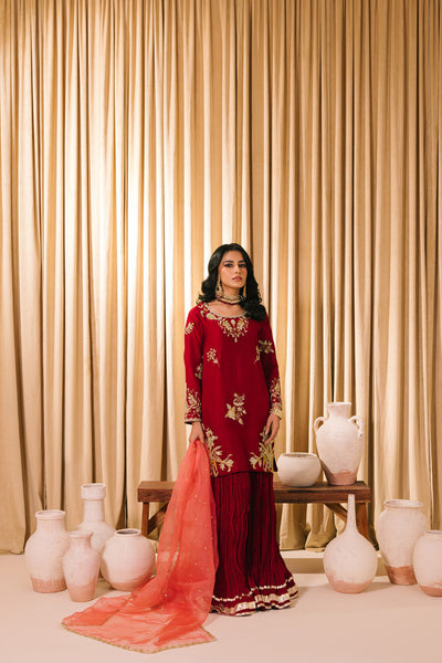 Sammy K | Heer Luxe | Suhana -  Sammy K Ladies Clothes - Original Designer Dress - House of Maryam