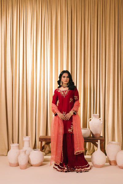 Sammy K | Heer Luxe | Suhana -  Sammy K Ladies Clothes - Original Designer Dress - House of Maryam