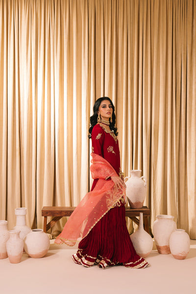 Sammy K | Heer Luxe | Suhana -  Sammy K Ladies Clothes - Original Designer Dress - House of Maryam