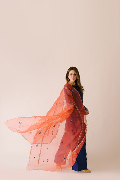 Sammy K | Aadat Festive Edition | Corn Flower -  Sammy K Ladies Clothes - Original Designer Dress - House of Maryam
