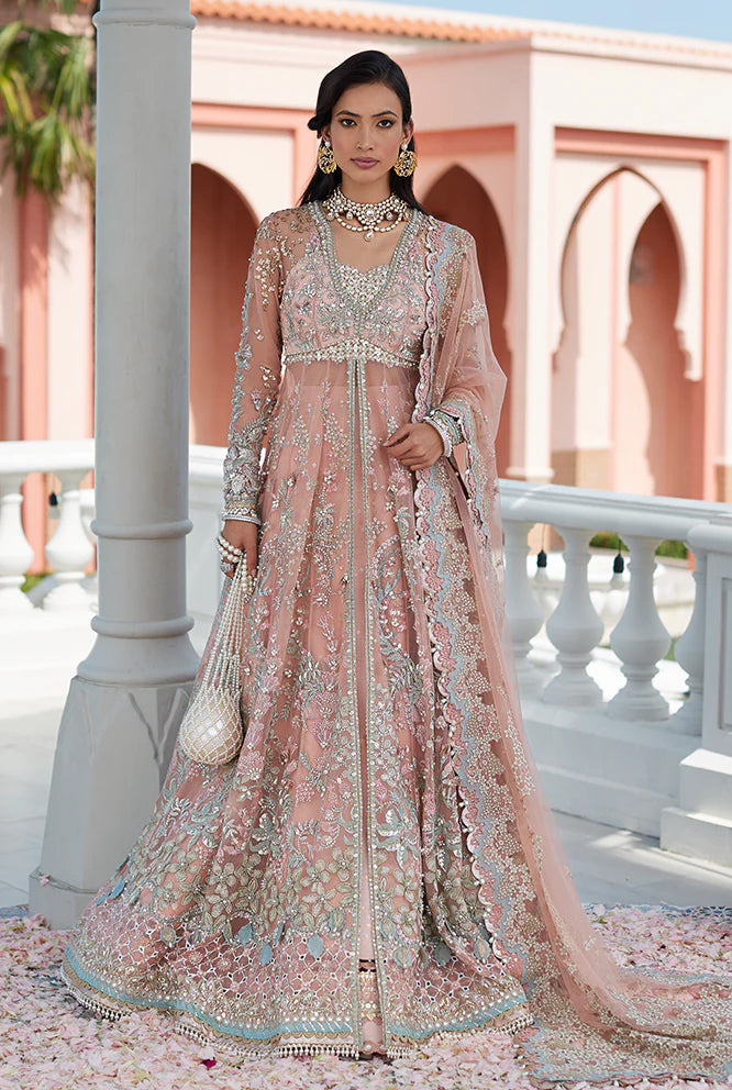 Sana Yasir | Luxury Collection | Suffuse -  Sana Yasir Ladies Clothes - Original Designer Dress - House of Maryam
