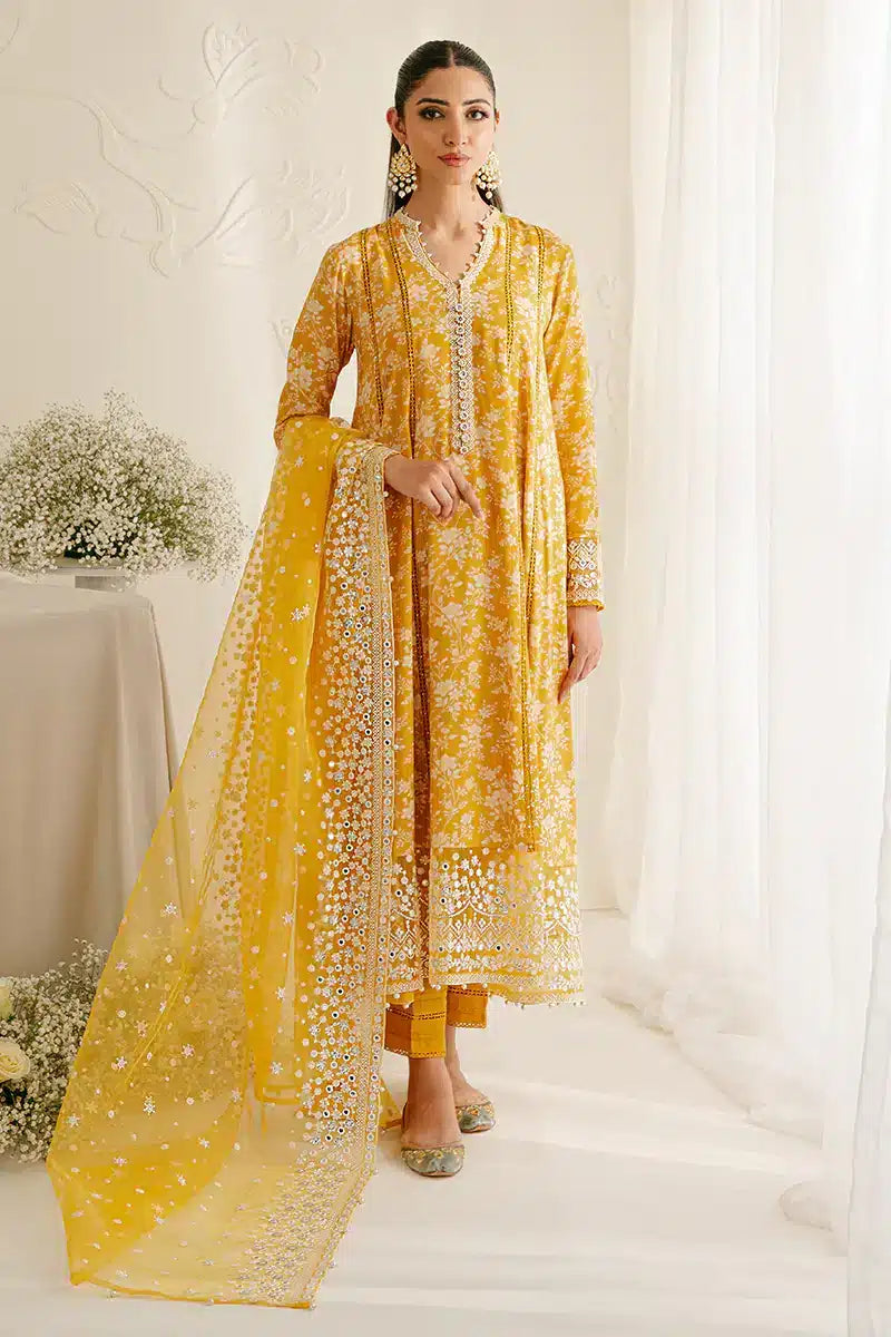 Cross Stitch | Wedding Festive 23 | ELFIN RADIANT by Designer Cross Stitch - House of Maryam - Pakistani Designer Ethnic Wear in {{ shop.shopifyCountryName }}