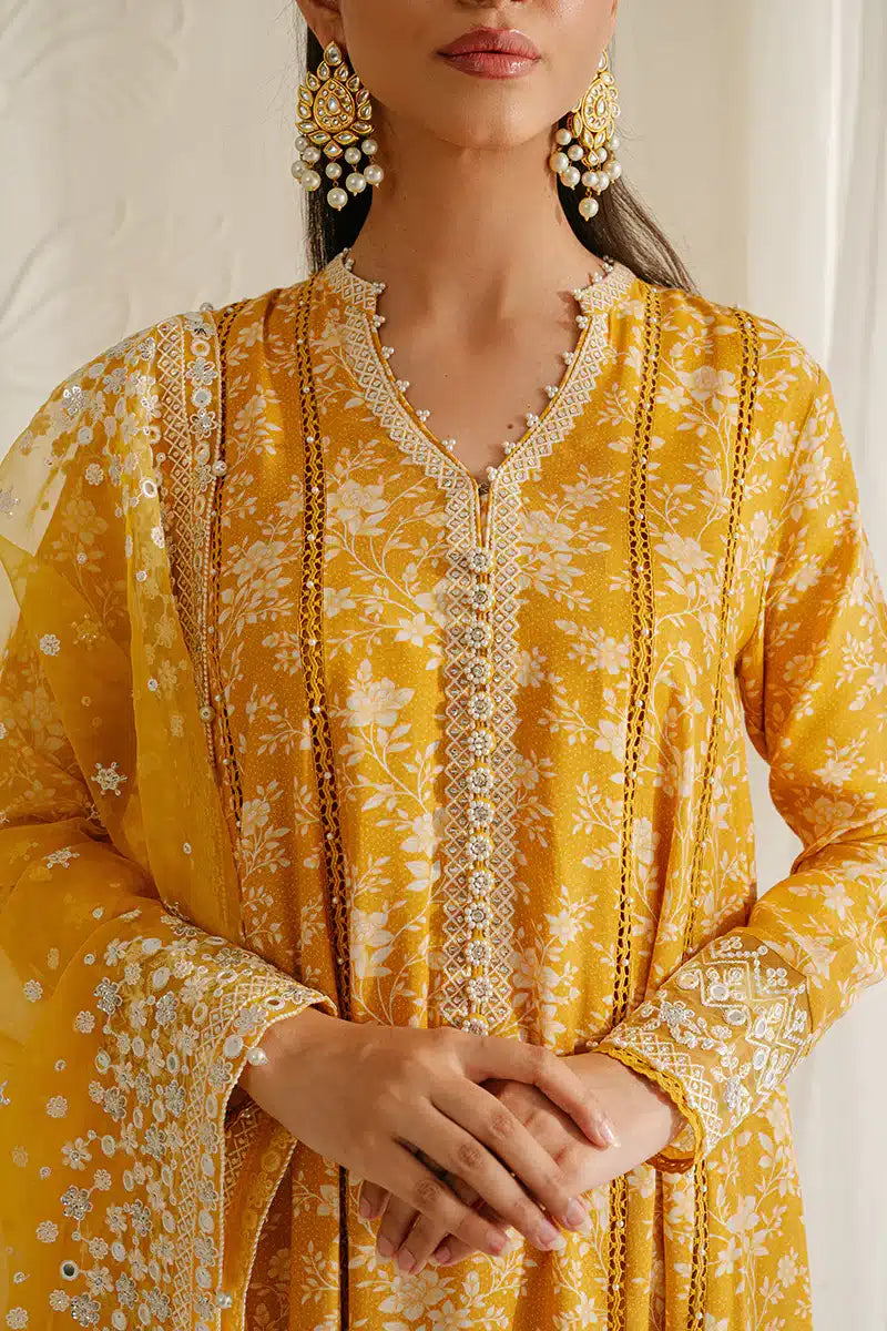 Cross Stitch | Wedding Festive 23 | ELFIN RADIANT by Designer Cross Stitch - House of Maryam - Pakistani Designer Ethnic Wear in {{ shop.shopifyCountryName }}