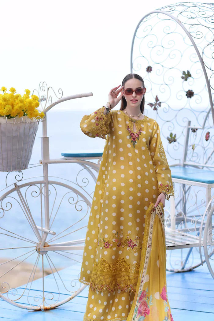 Noor by Saadia Asad | Luxe Printkari 24 | D6-B by Designer Noor by Saadia Asad - House of Maryam - Pakistani Designer Ethnic Wear in {{ shop.shopifyCountryName }}