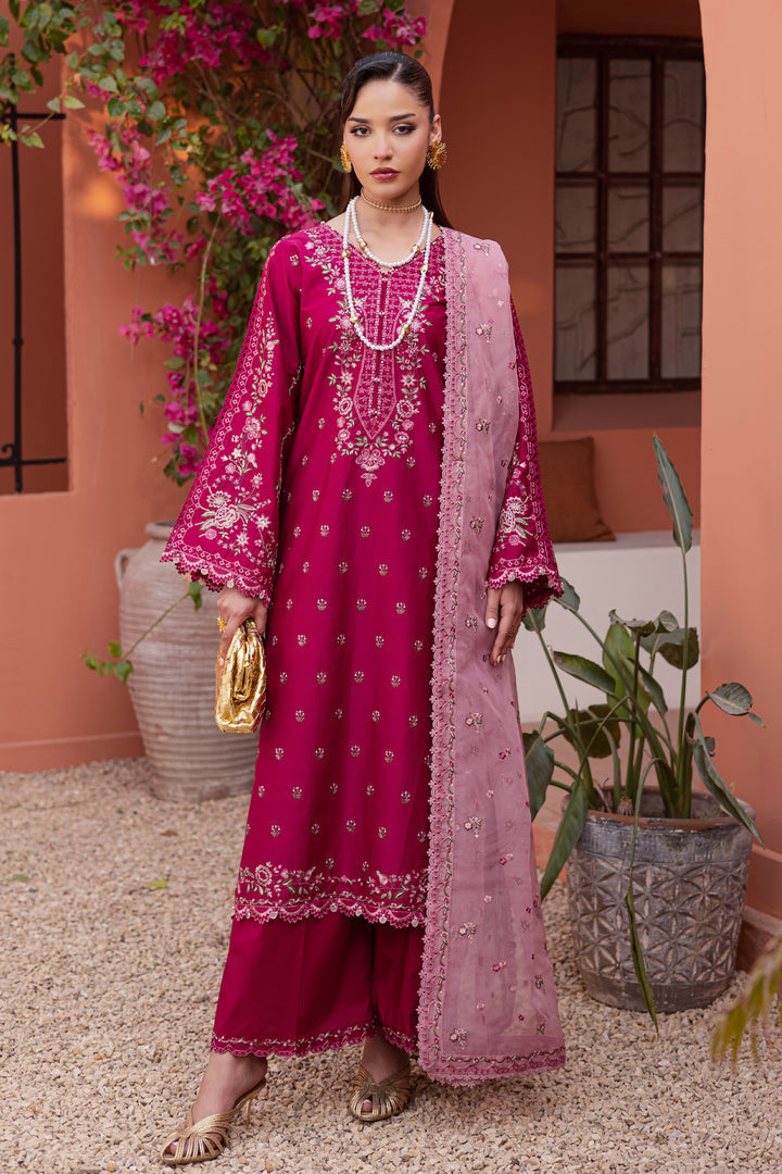 Batik | Winter 25 | Pink Aleyla-1
