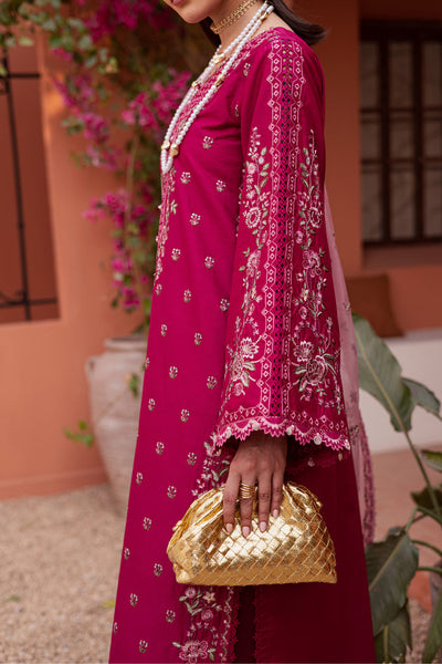 Batik | Winter 25 | Pink Aleyla