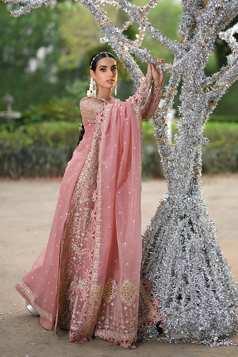 Qalamkar | Singhar Wedding Collection | RF-02 SALEHA by Designer Qalamkar - House of Maryam - Pakistani Designer Ethnic Wear in {{ shop.shopifyCountryName }}