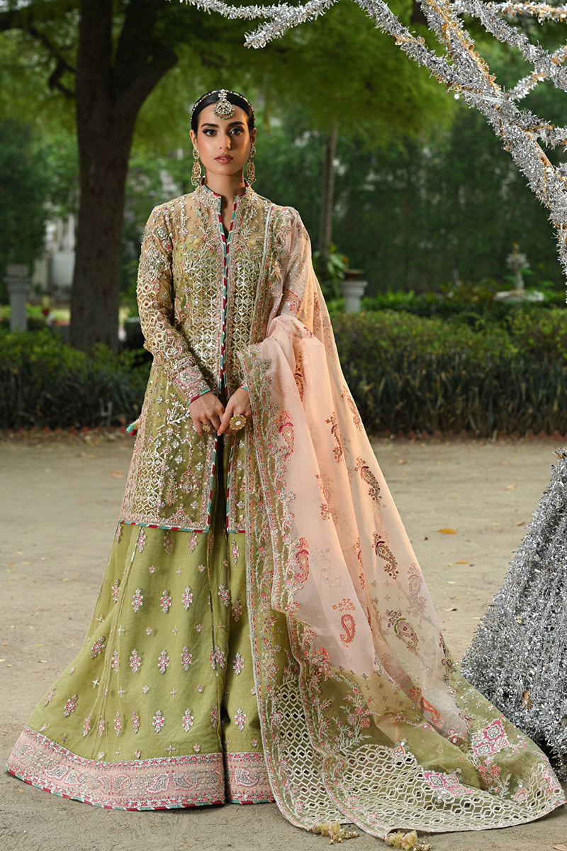 Qalamkar | Singhar Wedding Collection | RF-07 HALENA by Designer Qalamkar - House of Maryam - Pakistani Designer Ethnic Wear in {{ shop.shopifyCountryName }}