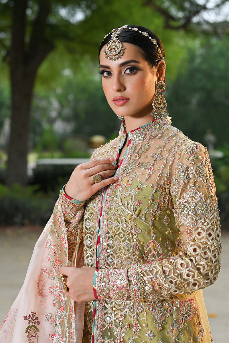 Qalamkar | Singhar Wedding Collection | RF-07 HALENA by Designer Qalamkar - House of Maryam - Pakistani Designer Ethnic Wear in {{ shop.shopifyCountryName }}