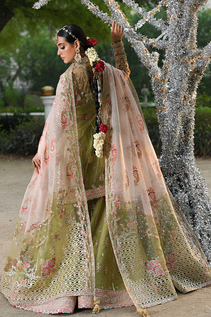 Qalamkar | Singhar Wedding Collection | RF-07 HALENA by Designer Qalamkar - House of Maryam - Pakistani Designer Ethnic Wear in {{ shop.shopifyCountryName }}