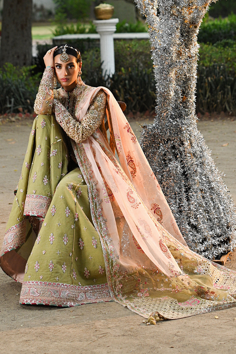 Qalamkar | Singhar Wedding Collection | RF-07 HALENA by Designer Qalamkar - House of Maryam - Pakistani Designer Ethnic Wear in {{ shop.shopifyCountryName }}