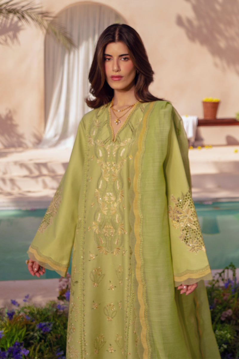 Rangrasiya | Luxury Eid Collection | Nadine-5