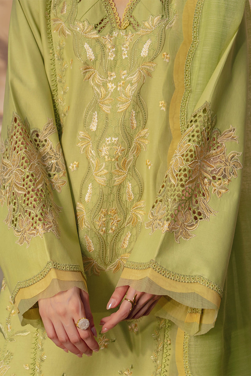 Rangrasiya | Luxury Eid Collection | Nadine by Rang Rasiya, image 4