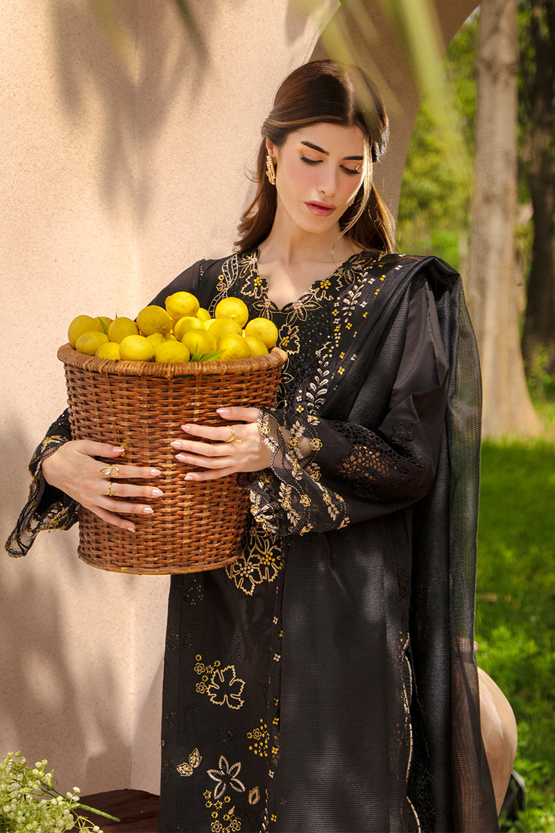 Rangrasiya | Luxury Eid Collection | Layl by Rang Rasiya, image 5