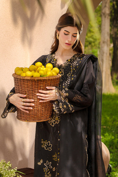 Rangrasiya | Luxury Eid Collection | Layl