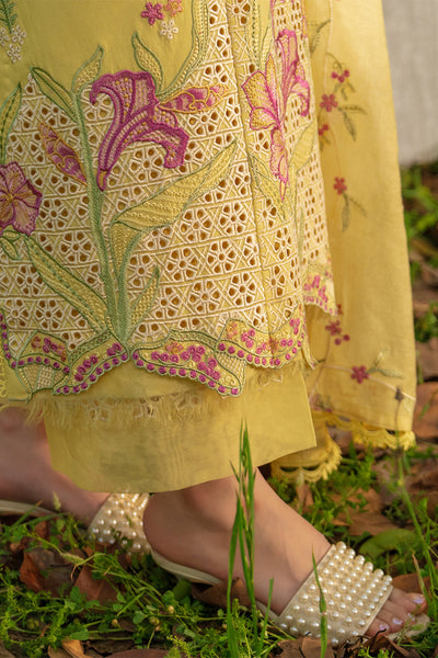 Rangrasiya | Luxury Eid Collection | Mysha