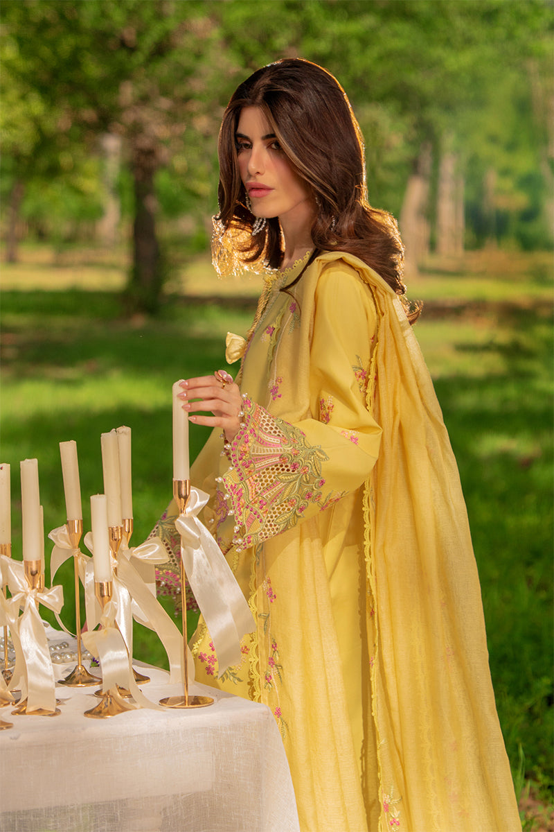 Rangrasiya | Luxury Eid Collection | Mysha by Rang Rasiya, image 4