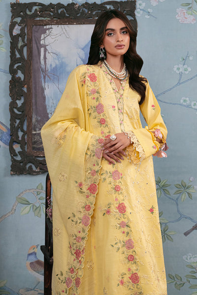 Rajbari | Chikankari Edition 24 | RJB-12 -  Rajbari Luxury - Original Designer Dress - House of Maryam