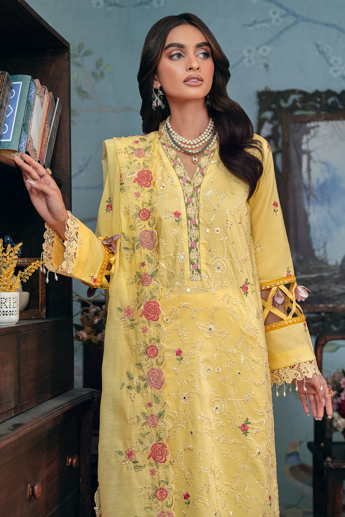 Rajbari | Chikankari Edition 24 | RJB-12 by Designer Rajbari - House of Maryam - Pakistani Designer Ethnic Wear in {{ shop.shopifyCountryName }}