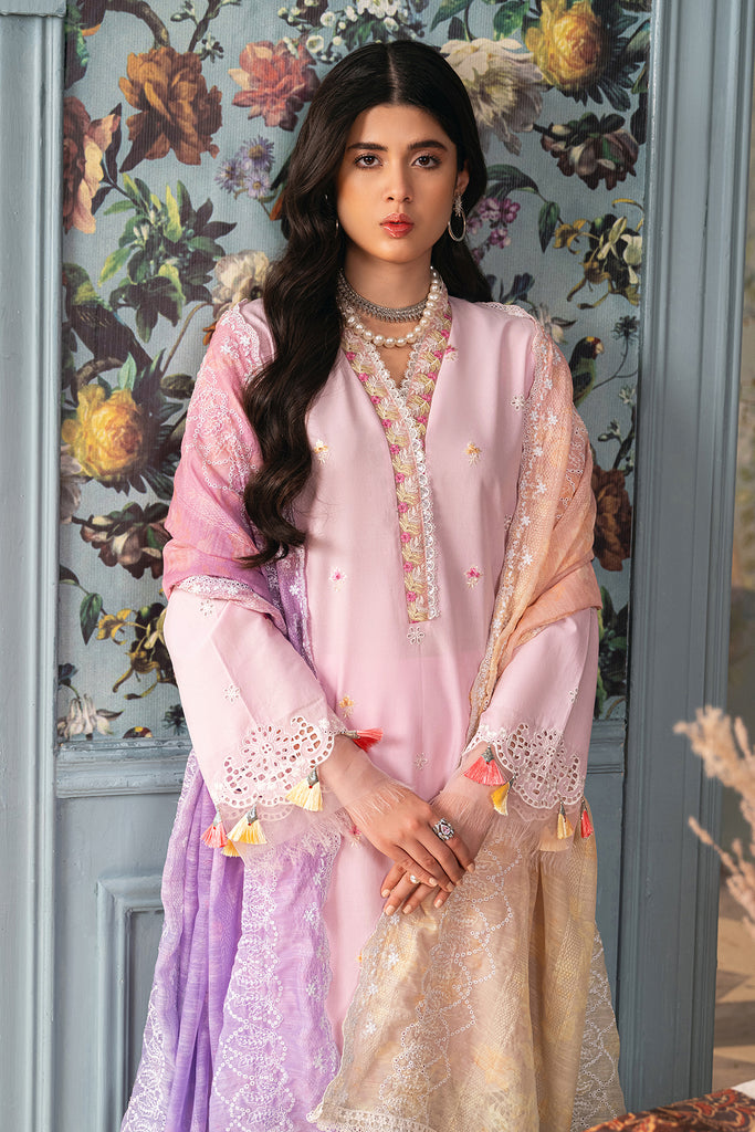 Rajbari | Chikankari Edition 24 | RJB-09 by Designer Rajbari - House of Maryam - Pakistani Designer Ethnic Wear in {{ shop.shopifyCountryName }}