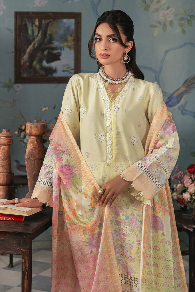 Rajbari | Chikankari Edition 24 | RJB-01 by Designer Rajbari - House of Maryam - Pakistani Designer Ethnic Wear in {{ shop.shopifyCountryName }}