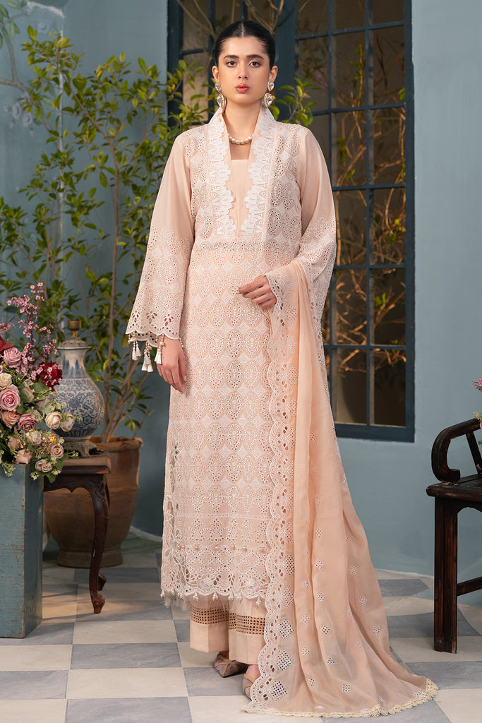 Rajbari | Chikankari Edition 24 | RJB-03 by Designer Rajbari - House of Maryam - Pakistani Designer Ethnic Wear in {{ shop.shopifyCountryName }}