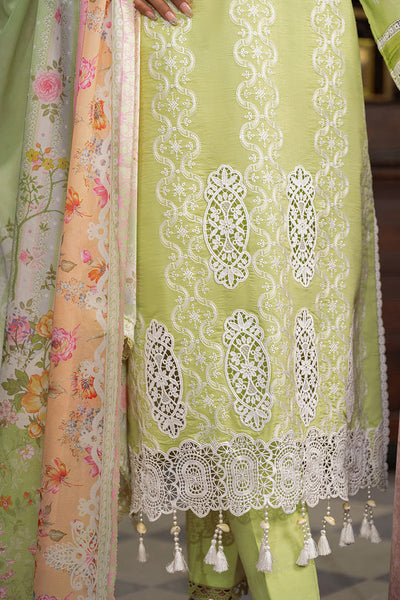 Rajbari | Chikankari Edition 24 | RJB-11 -  Rajbari Luxury - Original Designer Dress - House of Maryam