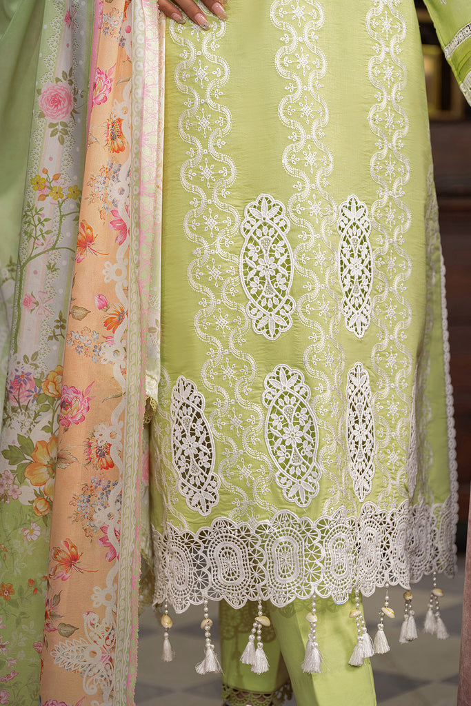 Rajbari | Chikankari Edition 24 | RJB-11 -  Rajbari Luxury - Original Designer Dress - House of Maryam