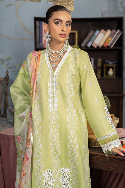 Rajbari | Chikankari Edition 24 | RJB-11 -  Rajbari Luxury - Original Designer Dress - House of Maryam