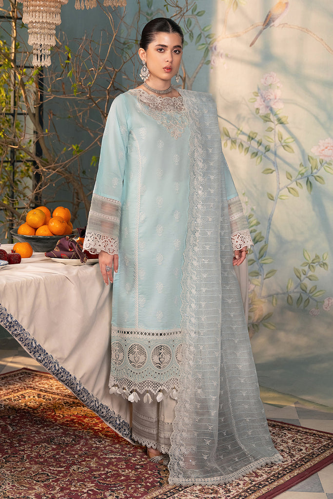 Rajbari | Chikankari Edition 24 | RJB-05 by Designer Rajbari - House of Maryam - Pakistani Designer Ethnic Wear in {{ shop.shopifyCountryName }}