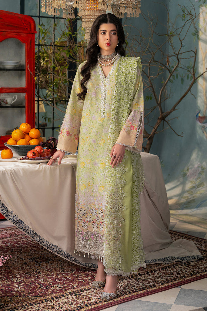 Rajbari | Chikankari Edition 24 | RJB-07 -  Rajbari Luxury - Original Designer Dress - House of Maryam