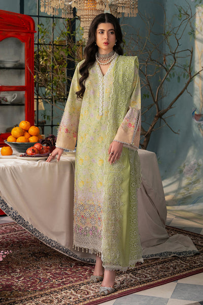 Rajbari | Chikankari Edition 24 | RJB-07 -  Rajbari Luxury - Original Designer Dress - House of Maryam