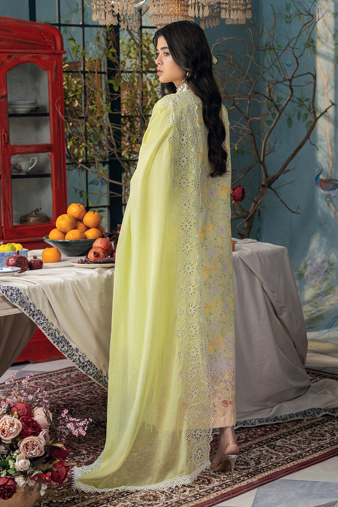 Rajbari | Chikankari Edition 24 | RJB-07 -  Rajbari Luxury - Original Designer Dress - House of Maryam