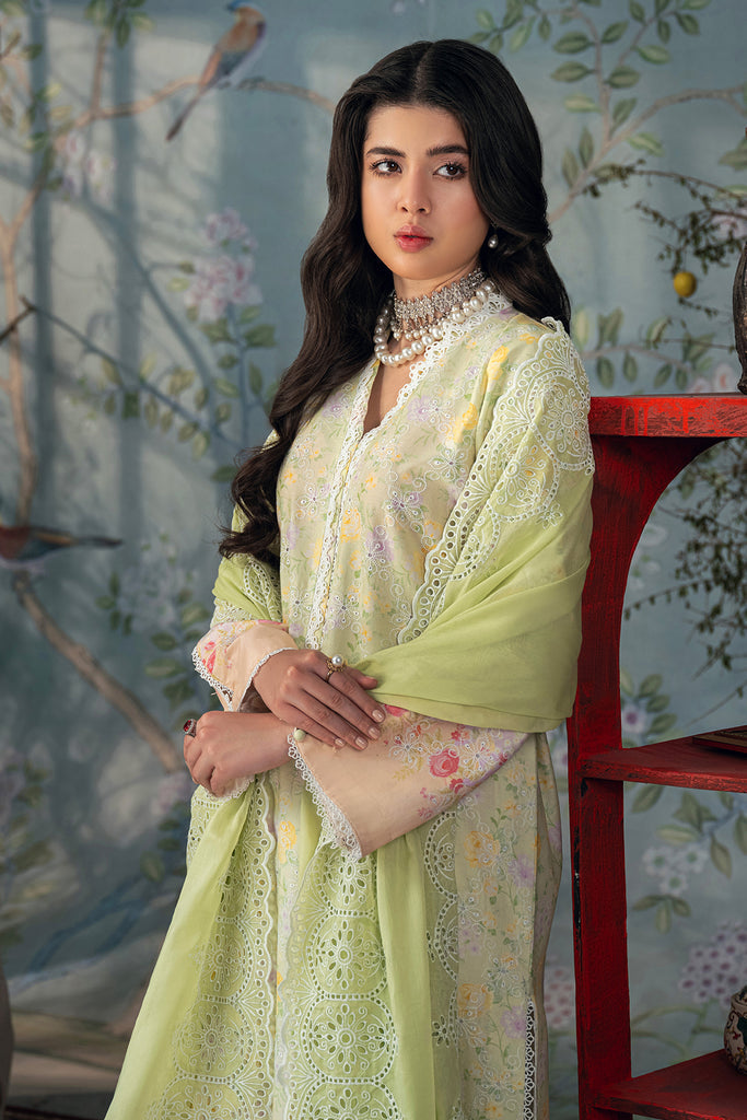 Rajbari | Chikankari Edition 24 | RJB-07 -  Rajbari Luxury - Original Designer Dress - House of Maryam