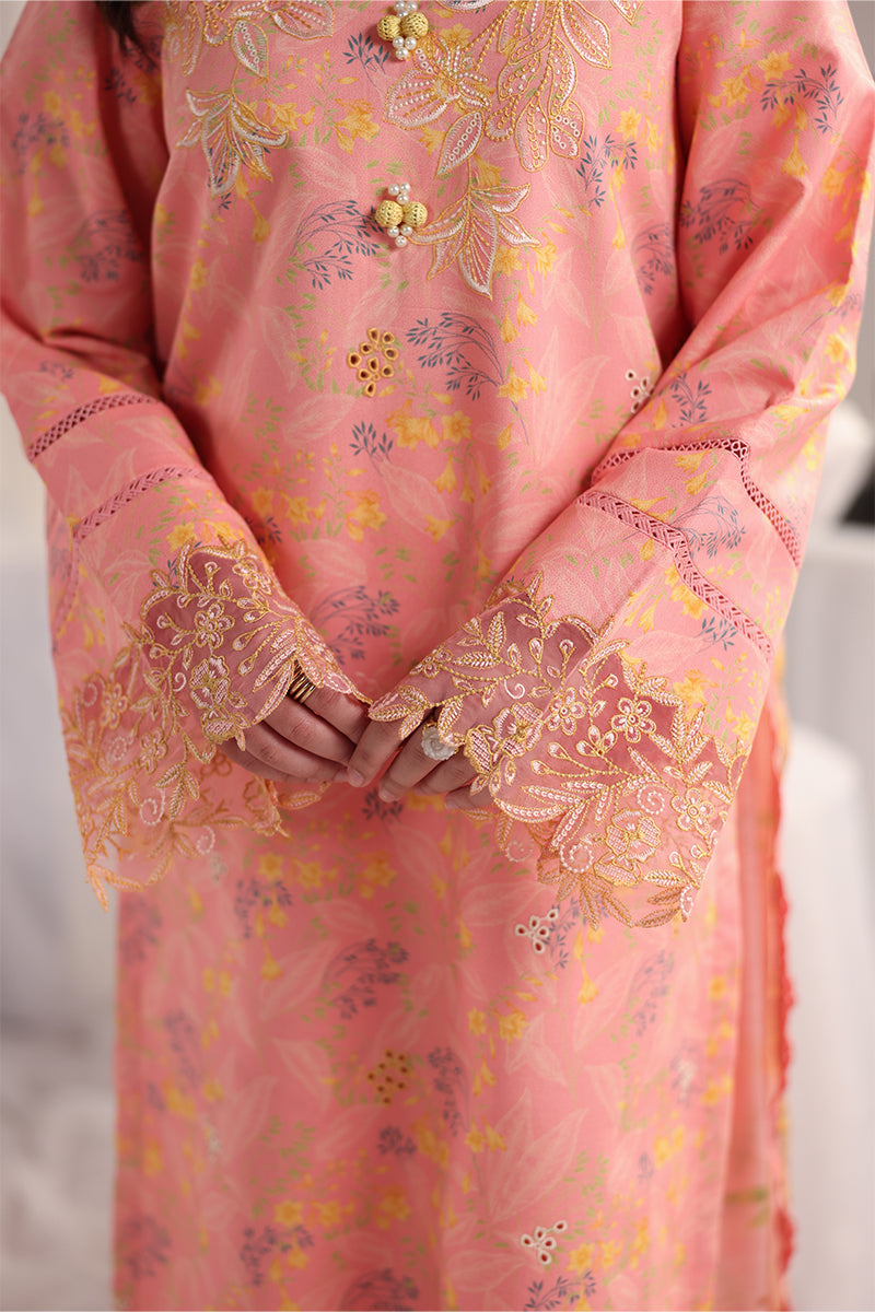 Rangrasiya | Nova Sumemr Embroidered Edit 26 | Rosalia-4