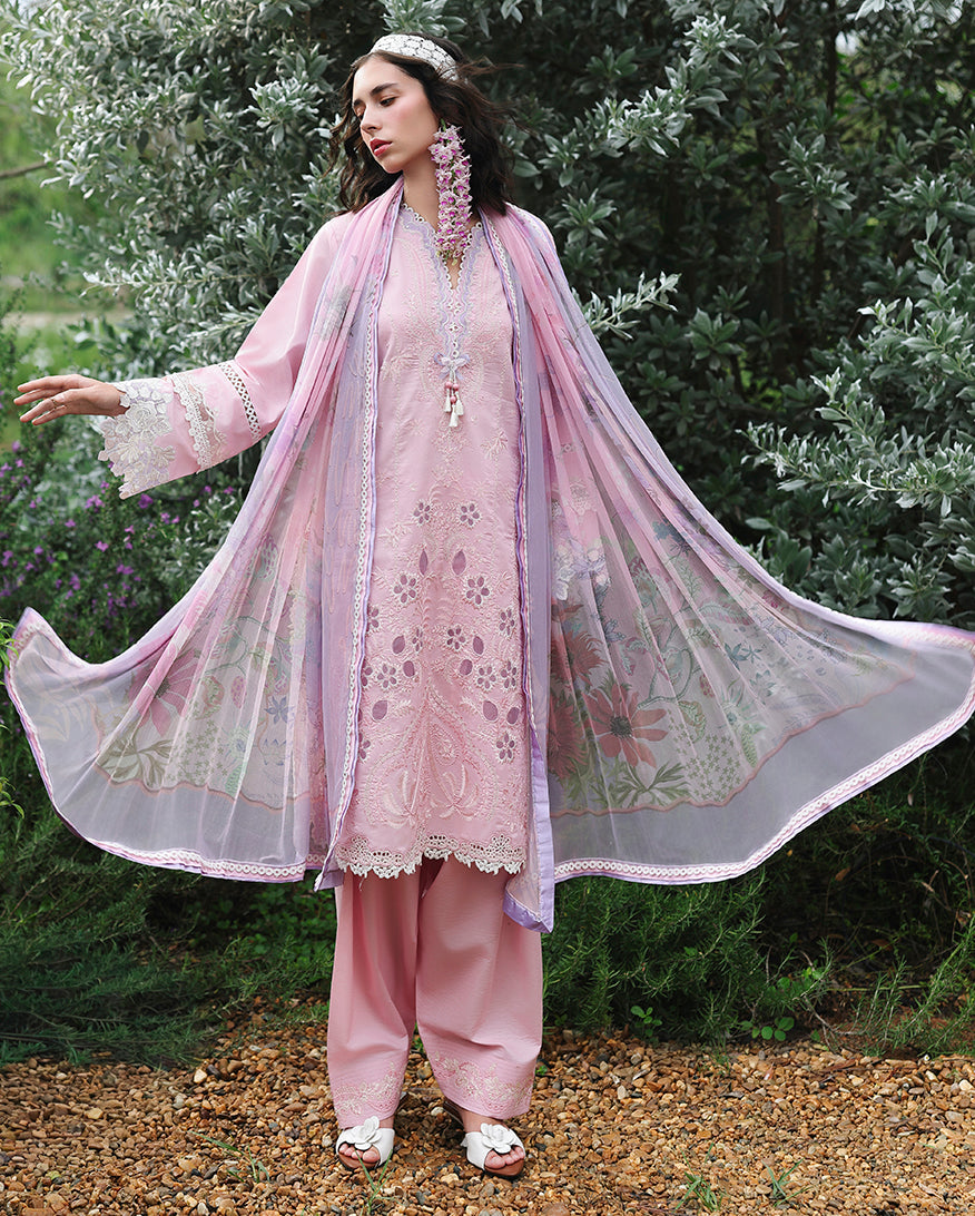 Mushq | The Secret Garden Lawn |Rosewood Secret, image 2