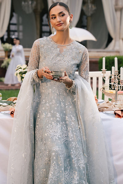 Cross Stitch | Wedding Pret | Royal Glint-2PC Organza Embroidered Pret