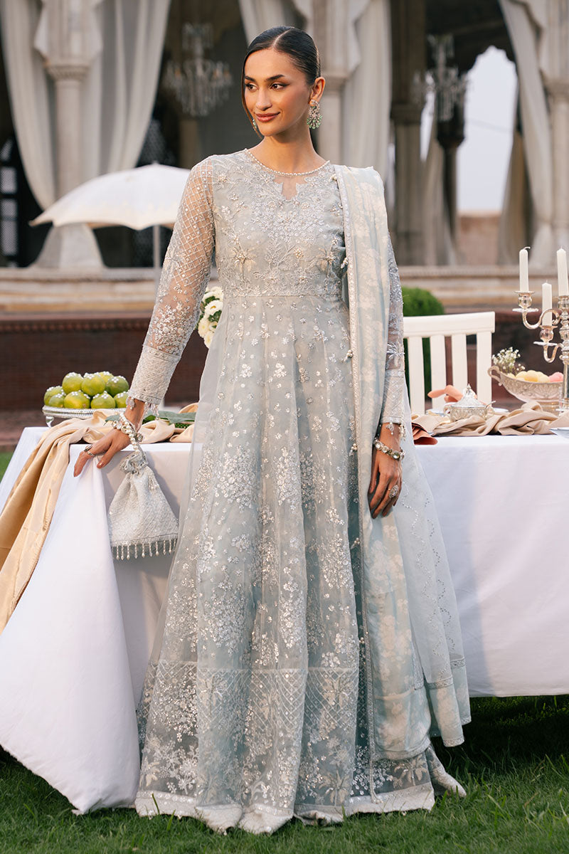 Cross Stitch | Wedding Pret | Royal Glint-2PC Organza Embroidered Pret