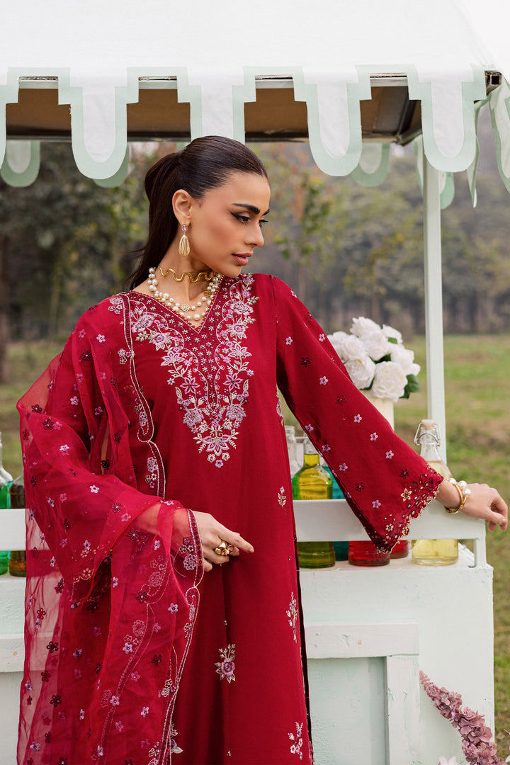 Batik | Winter 25 | Ruby Ghazal, image 5