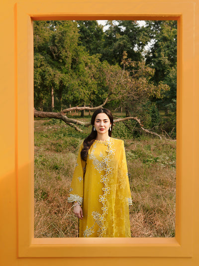 Allys | Janaan Eid Edit 26' | Saffron