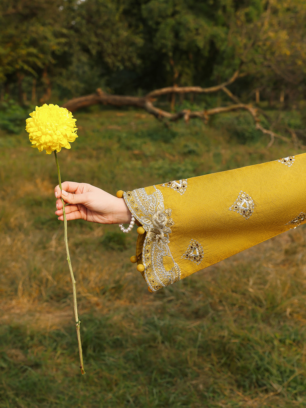 Allys | Janaan Eid Edit 26' | Saffron-6