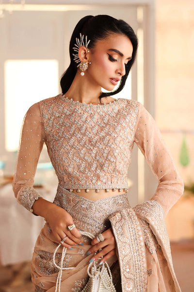 Maria B | Pre Fall Dresses | Embroidered Organza Saree Peach