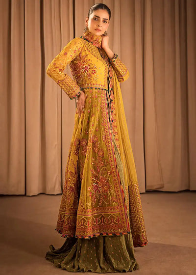 HSY | Rehana Collection 2023 | Ronak -  HSY Formal - Original Designer Dress - House of Maryam