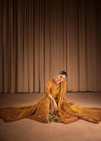 HSY | Rehana Collection 2023 | Ronak -  HSY Formal - Original Designer Dress - House of Maryam