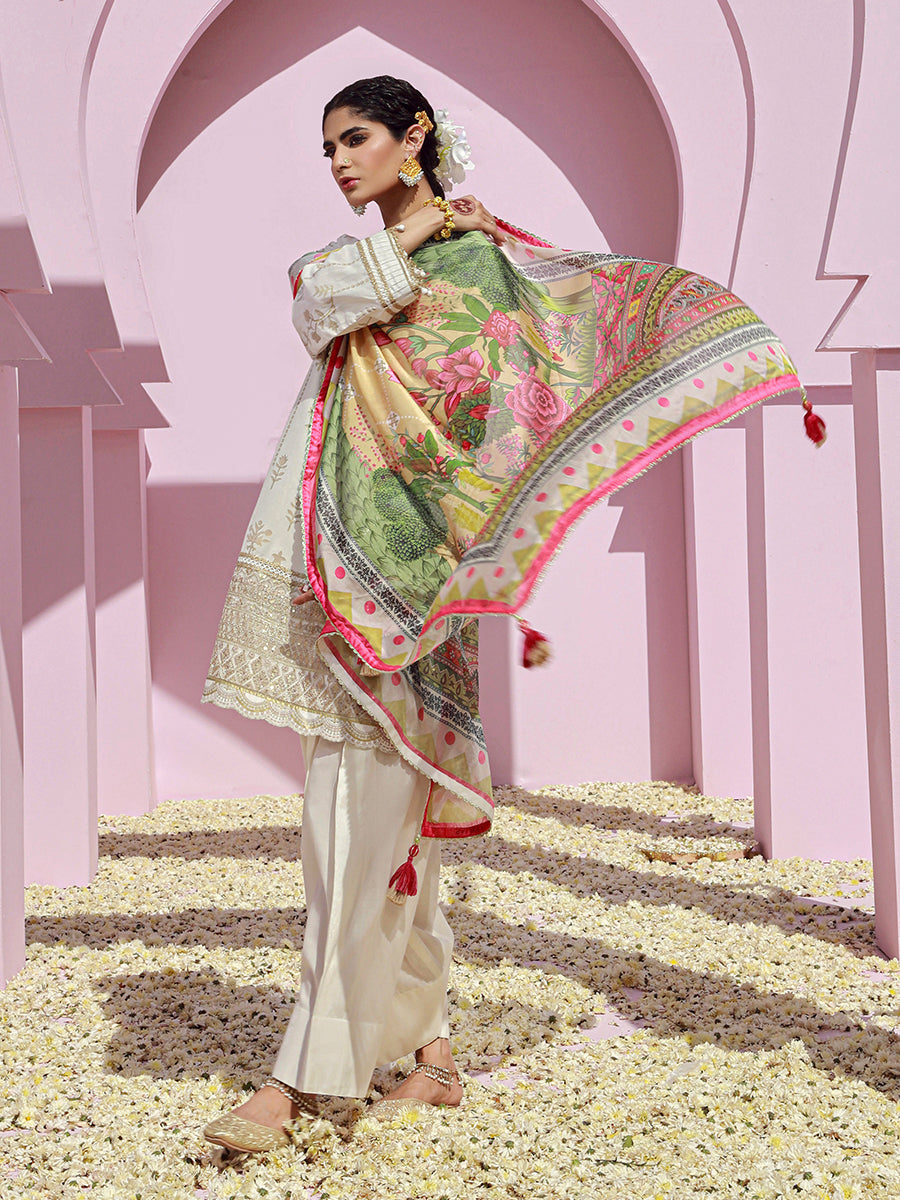 Salitex | Eid Edition | D30 by Designer Salitex - House of Maryam - Pakistani Designer Ethnic Wear in {{ shop.shopifyCountryName }}