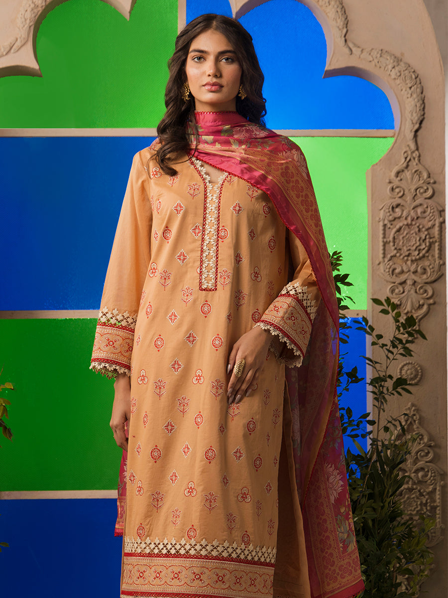 Salitex | Eid Edition | D19 by Designer Salitex - House of Maryam - Pakistani Designer Ethnic Wear in {{ shop.shopifyCountryName }}