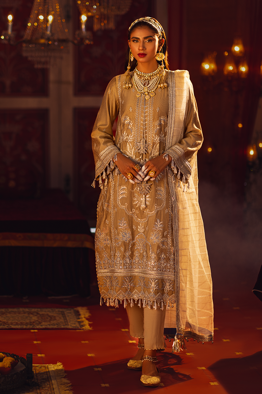 Salitex | Luxury Wear 24 | 02 by Designer Salitex - House of Maryam - Pakistani Designer Ethnic Wear in {{ shop.shopifyCountryName }}