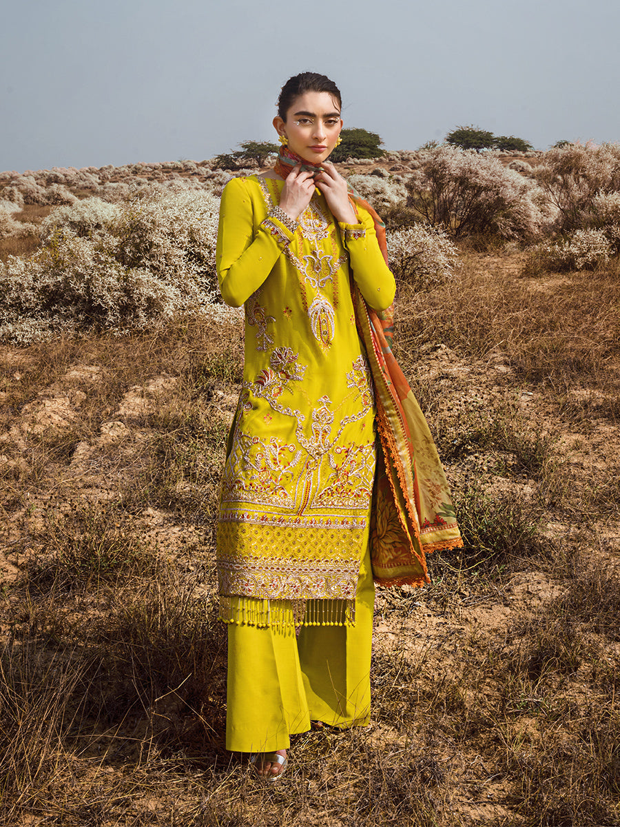 Salitex | Luxury Wear 24 | 26 by Designer Salitex - House of Maryam - Pakistani Designer Ethnic Wear in {{ shop.shopifyCountryName }}