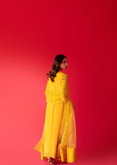 Sammy K | Taara Collection | SITARA -  Sammy K Formal - Original Designer Dress - House of Maryam