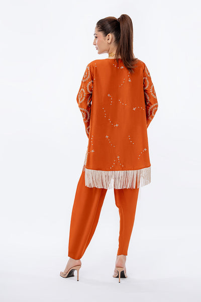 Sania Maskatiya | Eid Collection | Insha (B) -  Sania Maskatiya Formal - Original Designer Dress - House of Maryam